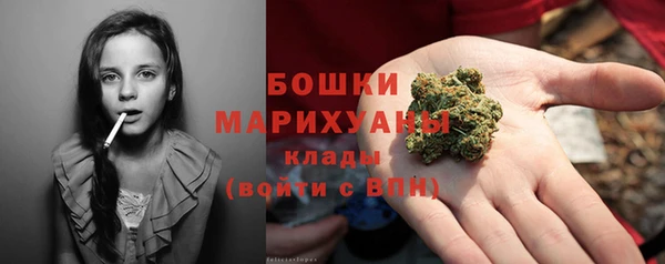 ALPHA PVP Новодвинск