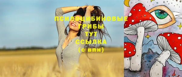 молекула духа Абинск
