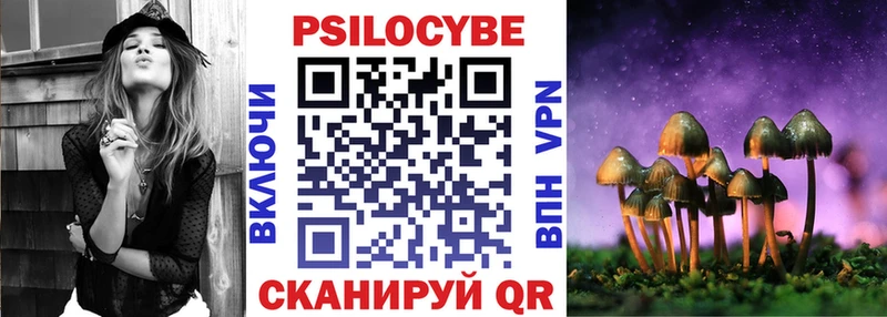 Псилоцибиновые грибы Psilocybe  закладки  kraken ССЫЛКА  Алапаевск 